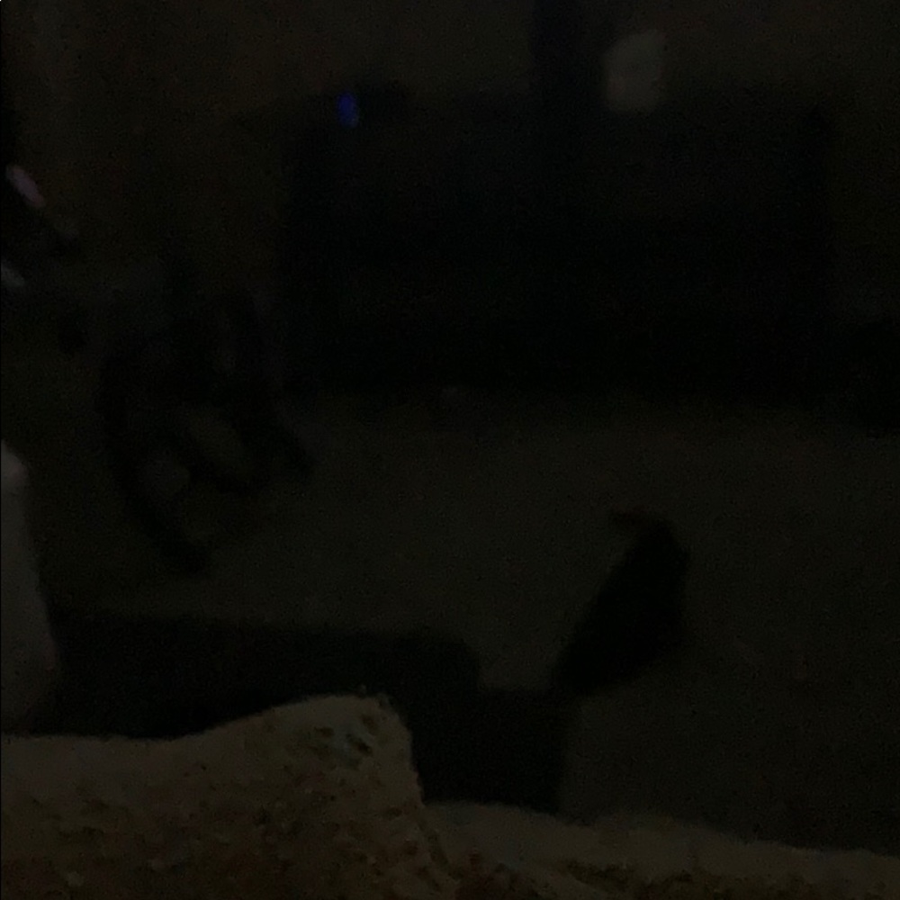 Meet your Posher, Traci